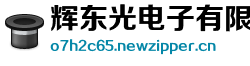 辉东光电子有限责任公司